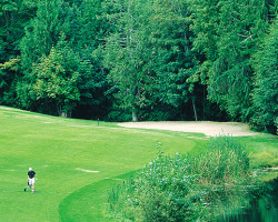 Morningstar Golf Club - Parksville, BC