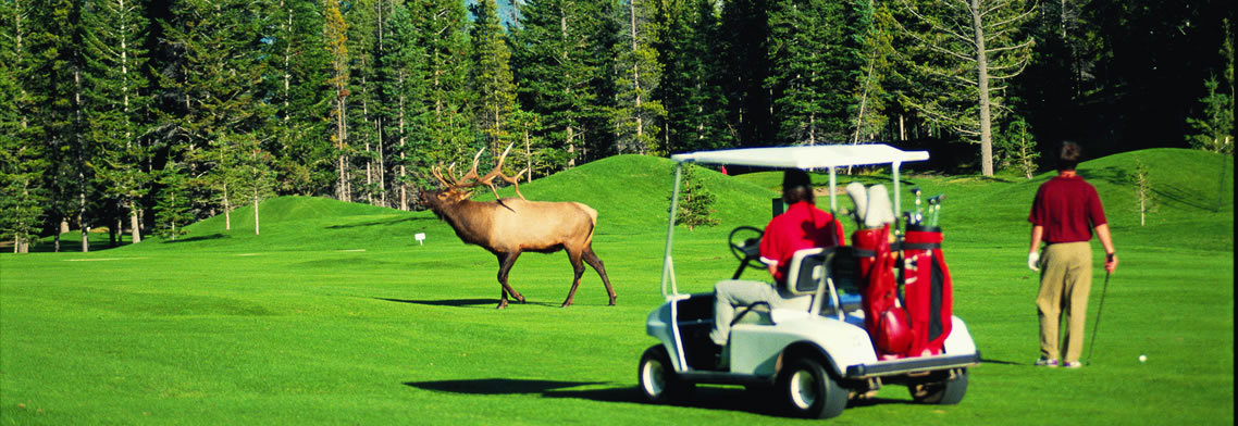 Banff Springs Golf Resort - Banff, AB